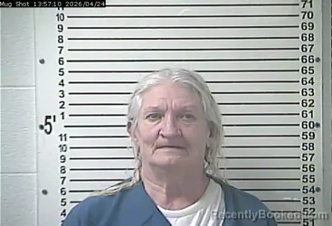 Mugshot of MARGARET FAYE LINK booked in Hardin County, Kentucky on April 24, 2026
