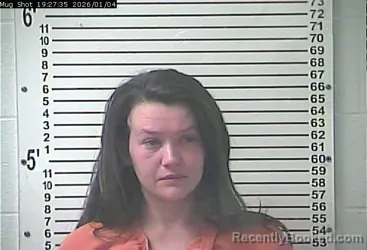 Mugshot of MARIANA STANA MOURER