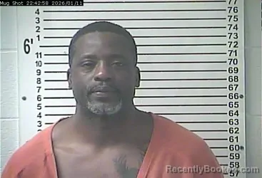 Mugshot of MAURICE LYNDRELL WILLIAMS