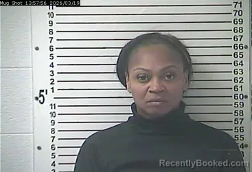 Mugshot of NICOLE FLORANN BRASSINGTON booked in Hardin County, Kentucky on March 19, 2026