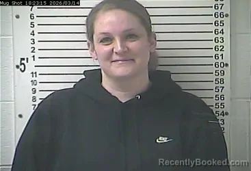 Mugshot of NICOLE MARIE FANASE