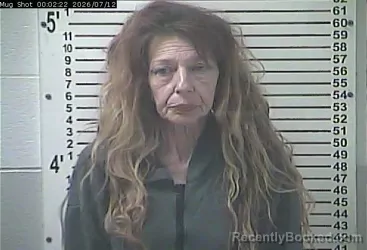 Mugshot of NANCY CAROL ROBISON booked in Hardin County, Kentucky on July 12, 2026