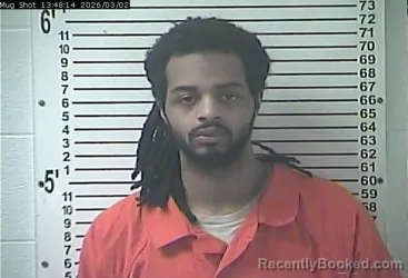 Mugshot of RAYSHON DONTRE JOHNSON