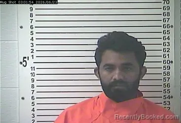 Mugshot of RAGHUVIRSINH VAGHELA booked in Hardin County, Kentucky on June 23, 2026