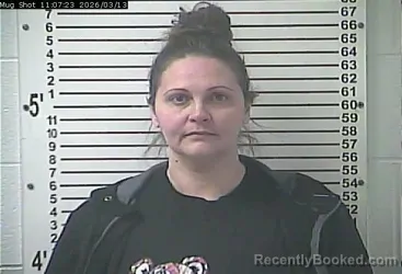 Mugshot of SHARINA DAWN ADAMS booked in Hardin County, Kentucky on March 13, 2026