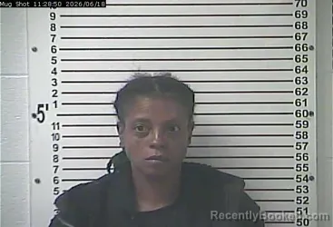 Mugshot of SHAMEKA SHENTEL LYNCH booked in Hardin County, Kentucky on June 18, 2026