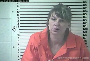 Mugshot of SHAUNA LYNNE NEAT booked in Hardin County, Kentucky on June 17, 2026