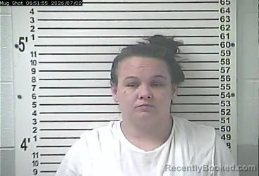 Mugshot of SARA LEEANN SPICER booked in Hardin County, Kentucky on July 2, 2026