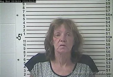 Mugshot of Susan Lee Schmitt booked in Hardin County, Kentucky on August 24, 2026