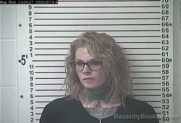 Mugshot of SHYLA DANIELLE WOOD booked in Hardin County, Kentucky on July 14, 2026