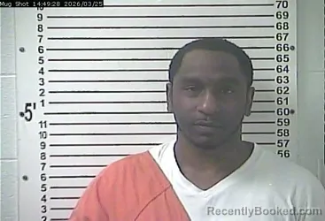 Mugshot of TERRANCE WAYNE BRITT
