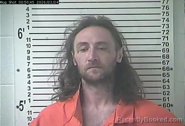 Mugshot of TROY DANIEL HAMMONS