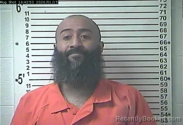 Mugshot of TOATELE ROBERT WATKINS