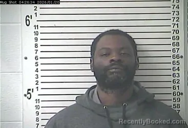 Mugshot of TRAVOLIS LAKELL WRIGHT