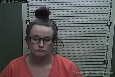 Mugshot of ANTIONETTE MICHELLE BOGGS