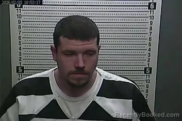 Mugshot of ALVIN JOHNSON