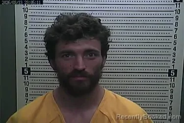 Mugshot of CAMERON MILLS