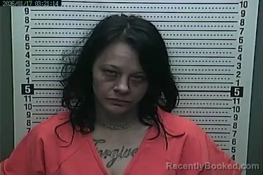 Mugshot of JESSICA HENSON