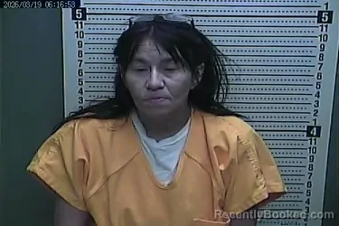 Mugshot of JOYCE MARIE JONES