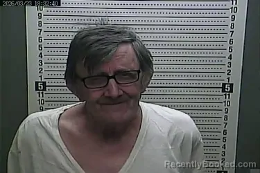 Mugshot of JAMES WELLS