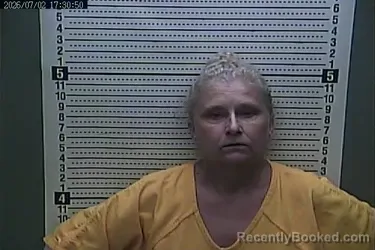 Mugshot of KIMBERLY JOHNSON booked in Harlan County, Kentucky on July 2, 2026
