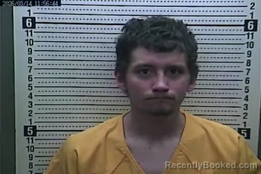 Mugshot of LEROY JONES