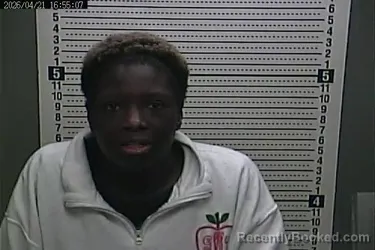 Mugshot of LESHIRA L POWELL booked in Harlan County, Kentucky on April 21, 2026