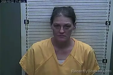 Mugshot of MISTY COLLINS