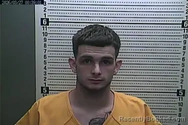 Mugshot of MASON D FARLEY