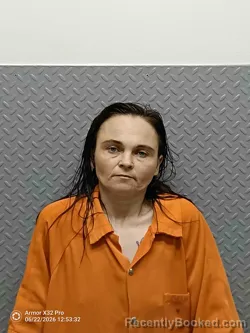Mugshot of SARAH CRAIN booked in Hart County, Kentucky on June 22, 2026
