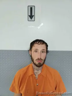 Mugshot of BRETT HIGGS