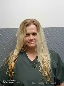 Mugshot of JEANA JEWELL
