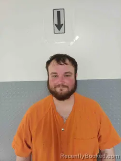 Mugshot of RODNEY WILLIAMS