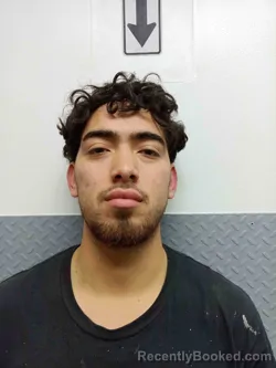 Mugshot of KEVIN RODRIGUEZ