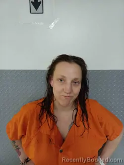 Mugshot of AMANDA PAGE