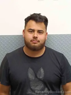 Mugshot of DIAZ GUEVARA