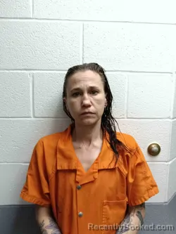 Mugshot of JONI HAWKINS