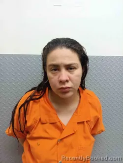 Mugshot of GLADYS HIDALGO CASTILLA booked in Hart County, Kentucky on April 21, 2026