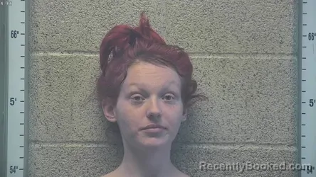 Mugshot of HANNAH D KING