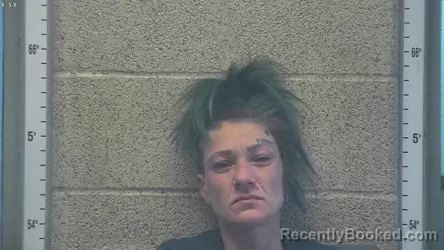 Mugshot of NELLIE MULLINS