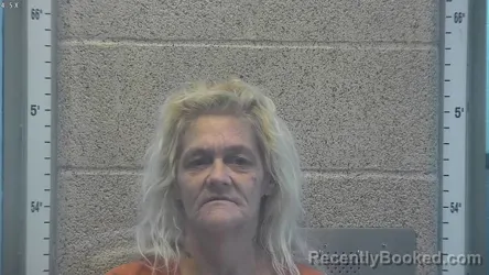 Mugshot of AMY LYNN NASBITT