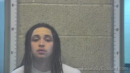 Mugshot of MALIN ZANE RESLER