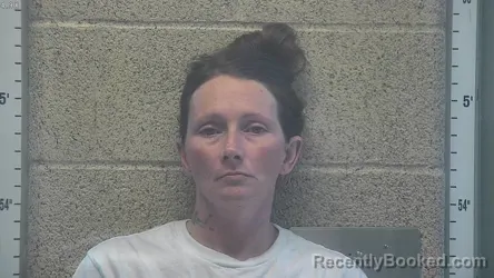 Mugshot of JESSICA LYNN FRALEY