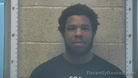 Mugshot of JONATHAN LEE JOHNSON