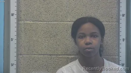 Mugshot of ALYSHA A WILSON