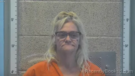 Mugshot of AMY LYNN NASBITT