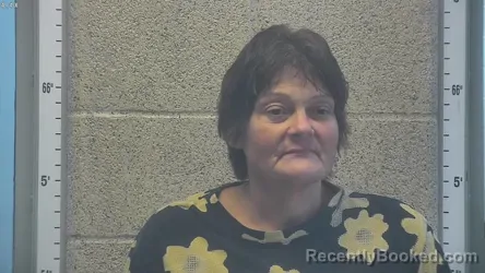 Mugshot of AUDREY FAYE HOUSEHOLDER