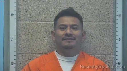 Mugshot of JULIO LOPEZ-PALACIOS