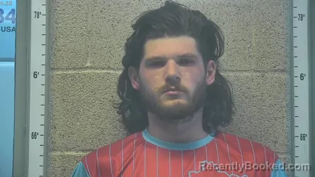 Mugshot of BLAYDE M WEAVER