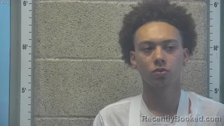 Mugshot of ADRIAN B POSEY